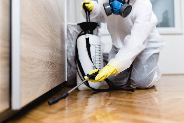 Best Cockroach Control Services  in Atkins, IA