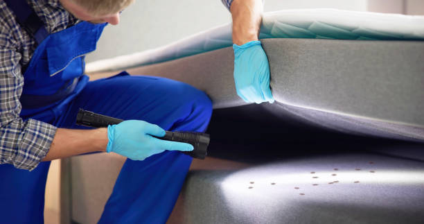 Best Termite Control Services  in Atkins, IA