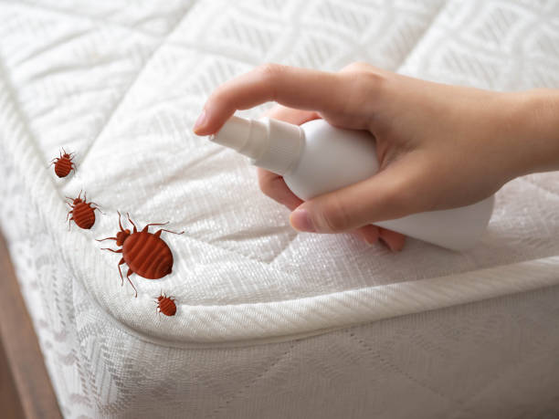 Best Pest Control for Restaurants  in Atkins, IA